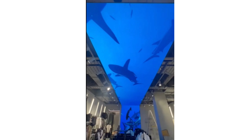 Dubai Shopping Mall Indoor LED Display